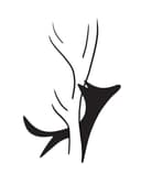 store_logo